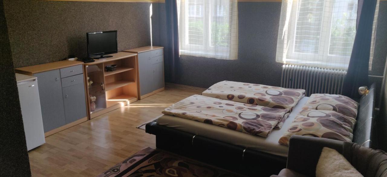 Ubytovani U Kovare Ústí nad Labem エクステリア 写真
